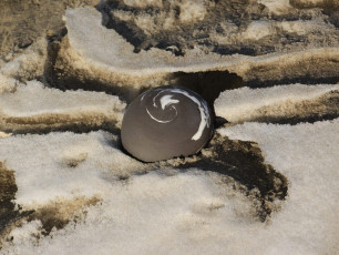 2021 pebble urn, zandmotor, nederland (1)