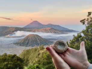 2023 pebble urn Bromo Indonesia (2)